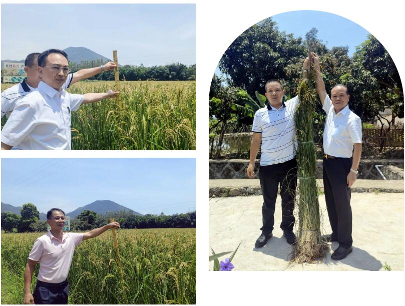 QQ截圖20220718231557.jpg