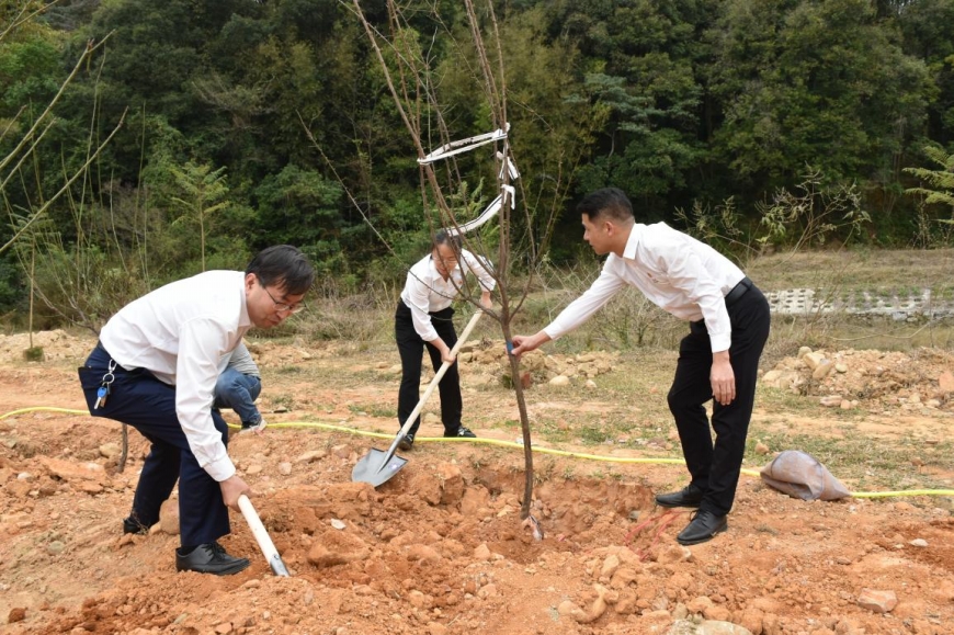 圖片4.jpg